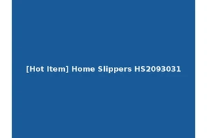 [Hot Item] Home Slippers HS2093031