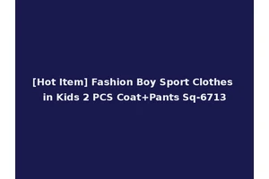 [Hot Item] Fashion Boy Sport Clothes in Kids 2 PCS Coat+Pants Sq-6713