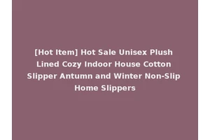 [Hot Item] Hot Sale Unisex Plush Lined Cozy Indoor House Cotton Slipper Antumn and Winter Non-Slip Home Slippers