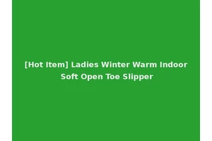 [Hot Item] Ladies Winter Warm Indoor Soft Open Toe Slipper