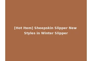 [Hot Item] Sheepskin Slipper New Styles in Winter Slipper