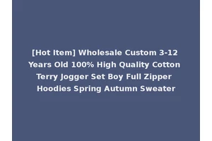 [Hot Item] Wholesale Custom 3-12 Years Old 100% High Quality Cotton Terry Jogger Set Boy Full Zipper Hoodies Spring Autumn Sweater
