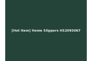 [Hot Item] Home Slippers HS2093067