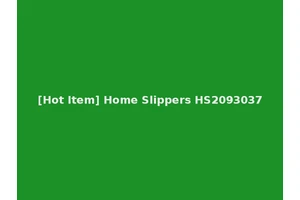 [Hot Item] Home Slippers HS2093037