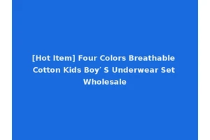 [Hot Item] Four Colors Breathable Cotton Kids Boy′ S Underwear Set Wholesale