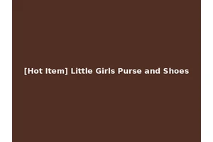 [Hot Item] Little Girls Purse and Shoes