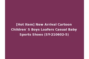 [Hot Item] New Arrival Cartoon Children′ S Boys Loafers Casual Baby Sports Shoes (SY-210602-5)