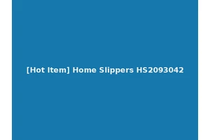 [Hot Item] Home Slippers HS2093042