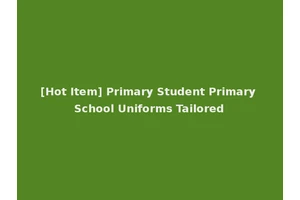 [Hot Item] Primary Student Primary School Uniforms Tailored