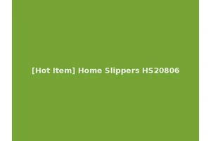 [Hot Item] Home Slippers HS20806