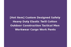 [Hot Item] Custom Designed Safety Heavy Duty Elastic Twill Cotton Outdoor Construction Tactical Men Workwear Cargo Work Pants