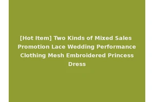[Hot Item] Two Kinds of Mixed Sales Promotion Lace Wedding Performance Clothing Mesh Embroidered Princess Dress