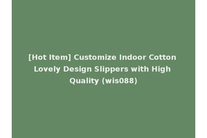 [Hot Item] Customize Indoor Cotton Lovely Design Slippers with High Quality (wis088)