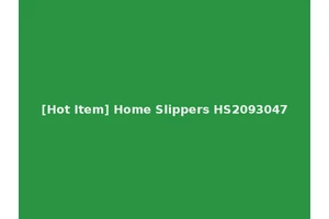 [Hot Item] Home Slippers HS2093047