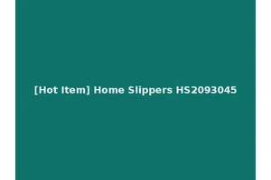 [Hot Item] Home Slippers HS2093045