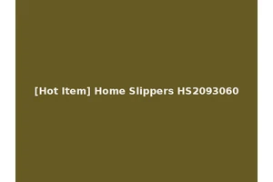 [Hot Item] Home Slippers HS2093060