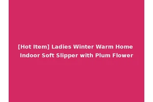 [Hot Item] Ladies Winter Warm Home Indoor Soft Slipper with Plum Flower