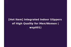 [Hot Item] Integrated Indoor Slippers of High Quality for Men/Women (wsp001)