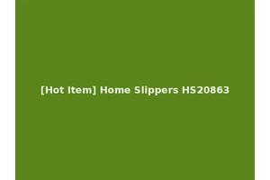[Hot Item] Home Slippers HS20863