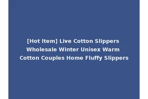 [Hot Item] Live Cotton Slippers Wholesale Winter Unisex Warm Cotton Couples Home Fluffy Slippers