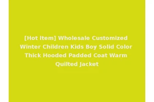 [Hot Item] Wholesale Customized Winter Children Kids Boy Solid Color Thick Hooded Padded Coat Warm Quilted Jacket