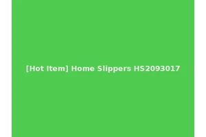 [Hot Item] Home Slippers HS2093017