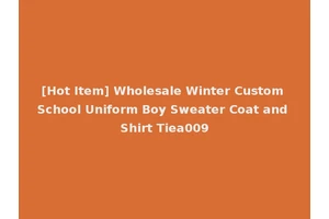 [Hot Item] Wholesale Winter Custom School Uniform Boy Sweater Coat and Shirt Tiea009