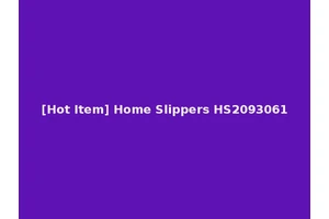[Hot Item] Home Slippers HS2093061