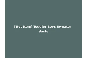 [Hot Item] Toddler Boys Sweater Vests