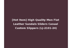 [Hot Item] High Quality Men Flat Leather Sandals Sliders Casual Custom Slippers (LJ-2101-24)