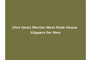 [Hot Item] Merino Wool Mule House Slippers for Men