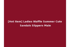 [Hot Item] Ladies Waffle Summer Cute Sandals Slippers Male