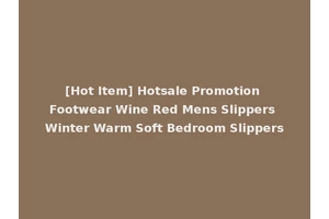 [Hot Item] Hotsale Promotion Footwear Wine Red Mens Slippers Winter Warm Soft Bedroom Slippers