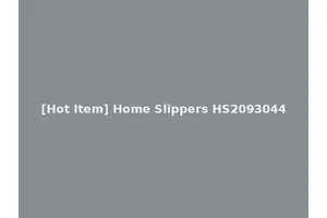 [Hot Item] Home Slippers HS2093044