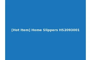 [Hot Item] Home Slippers HS2093001