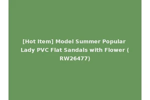 [Hot Item] Model Summer Popular Lady PVC Flat Sandals with Flower (RW26477)