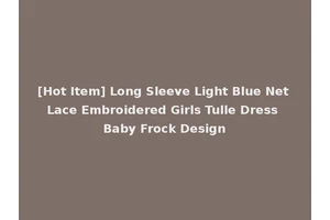 [Hot Item] Long Sleeve Light Blue Net Lace Embroidered Girls Tulle Dress Baby Frock Design