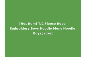 [Hot Item] T/C Fleece Rope Embroidery Boys Hoodie Mens Hoodie Boys Jacket