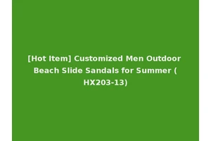[Hot Item] Customized Men Outdoor Beach Slide Sandals for Summer (HX203-13)