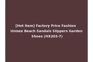 [Hot Item] Factory Price Fashion Unisex Beach Sandals Slippers Garden Shoes (HX203-7)