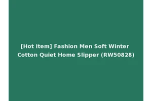 [Hot Item] Fashion Men Soft Winter Cotton Quiet Home Slipper (RW50828)