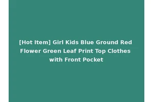 [Hot Item] Girl Kids Blue Ground Red Flower Green Leaf Print Top Clothes with Front Pocket