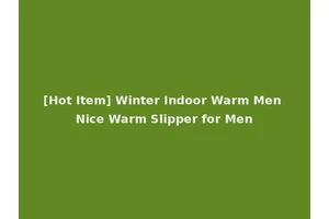 [Hot Item] Winter Indoor Warm Men Nice Warm Slipper for Men