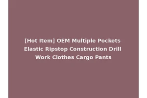 [Hot Item] OEM Multiple Pockets Elastic Ripstop Construction Drill Work Clothes Cargo Pants