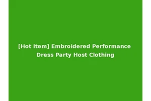 [Hot Item] Embroidered Performance Dress Party Host Clothing