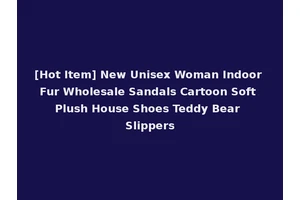 [Hot Item] New Unisex Woman Indoor Fur Wholesale Sandals Cartoon Soft Plush House Shoes Teddy Bear Slippers