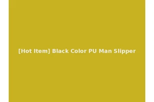 [Hot Item] Black Color PU Man Slipper