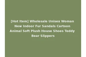 [Hot Item] Wholesale Unisex Woman New Indoor Fur Sandals Cartoon Animal Soft Plush House Shoes Teddy Bear Slippers