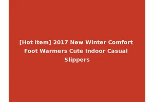 [Hot Item] 2017 New Winter Comfort Foot Warmers Cute Indoor Casual Slippers