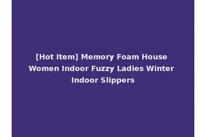 [Hot Item] Memory Foam House Women Indoor Fuzzy Ladies Winter Indoor Slippers